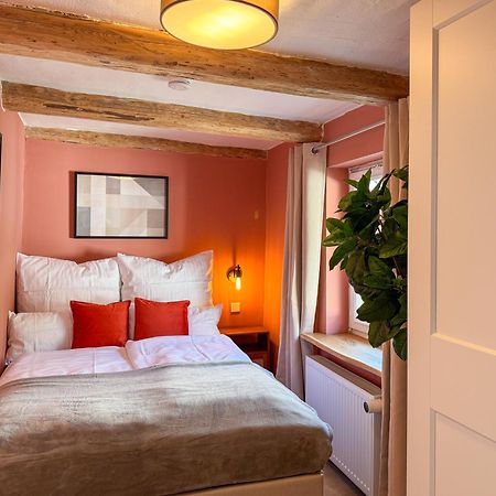 فيلا Haus Ludwig - Saniertes Fachwerkhaus Im Harz - 12 Personen ثال المظهر الخارجي الصورة